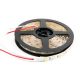 5050 cct color led strip light