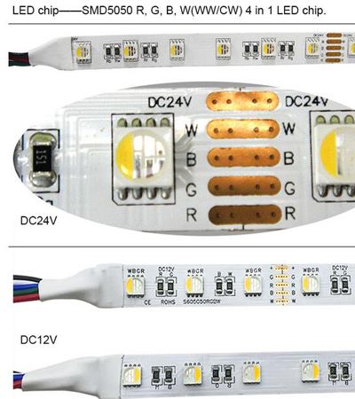 RGBW 4in 1 24V 12V led strip 