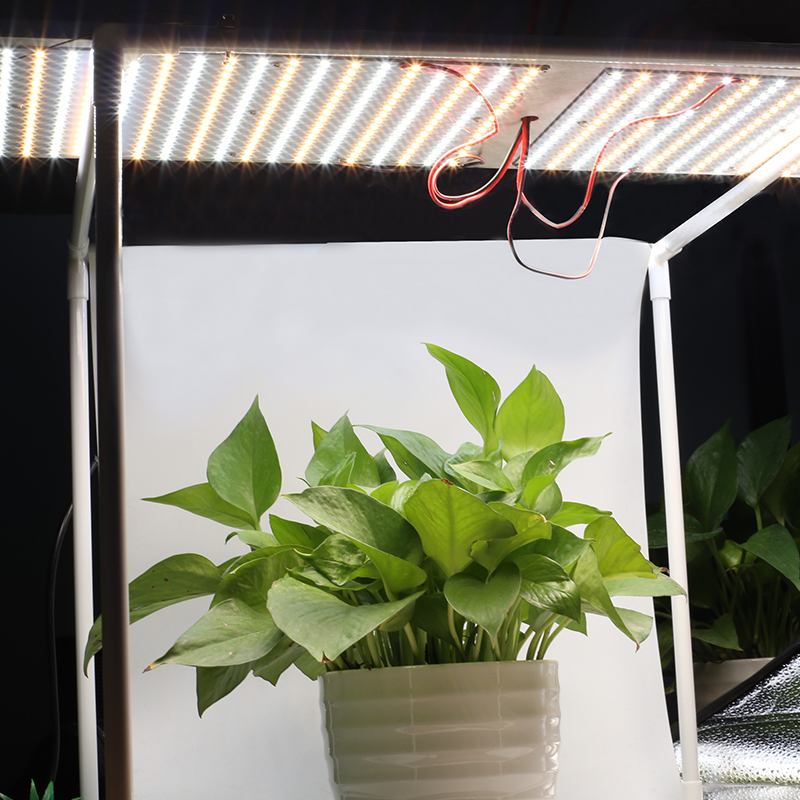 5630 Plant grow lighting